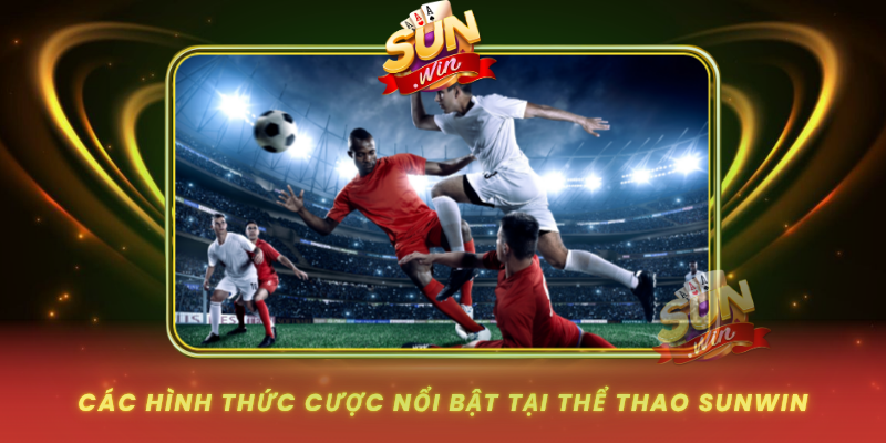 Cac Hinh Thuc Cuoc Noi Bat Tai The Thao Sunwin