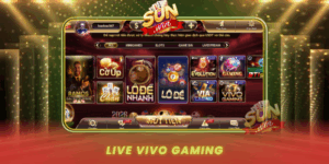 Live Vivo Gaming Noi Ca Cuoc Truc Tiep Uy Tin Nhat Sunwin
